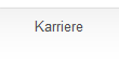 Karriere